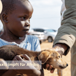 Impfen für Afrika!  18.-24.5.2026